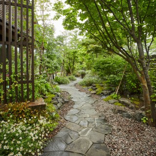 モダンな雑木の庭。苔・半日陰の庭