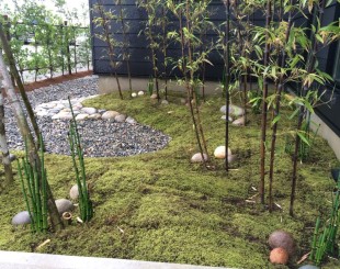 苔庭。和モダンなエントランスガーデン