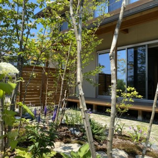 デッキから眺める雑木の庭 新潟市