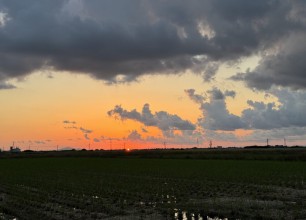 水を制する者は庭を制す?