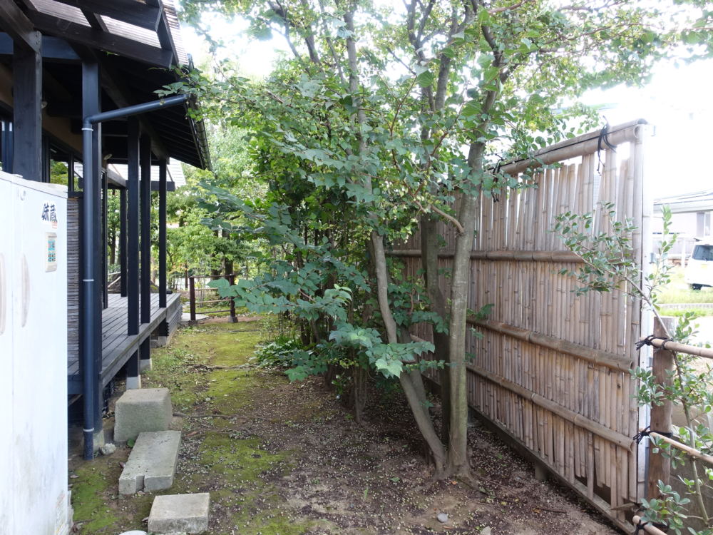 竹垣、流れのリフォーム前。
屋根からの雨が直接落ちるので植物を植えても上手く育たず客席から見える場所にも関わらずただの通路となっておりもったいないスペースになっていました。