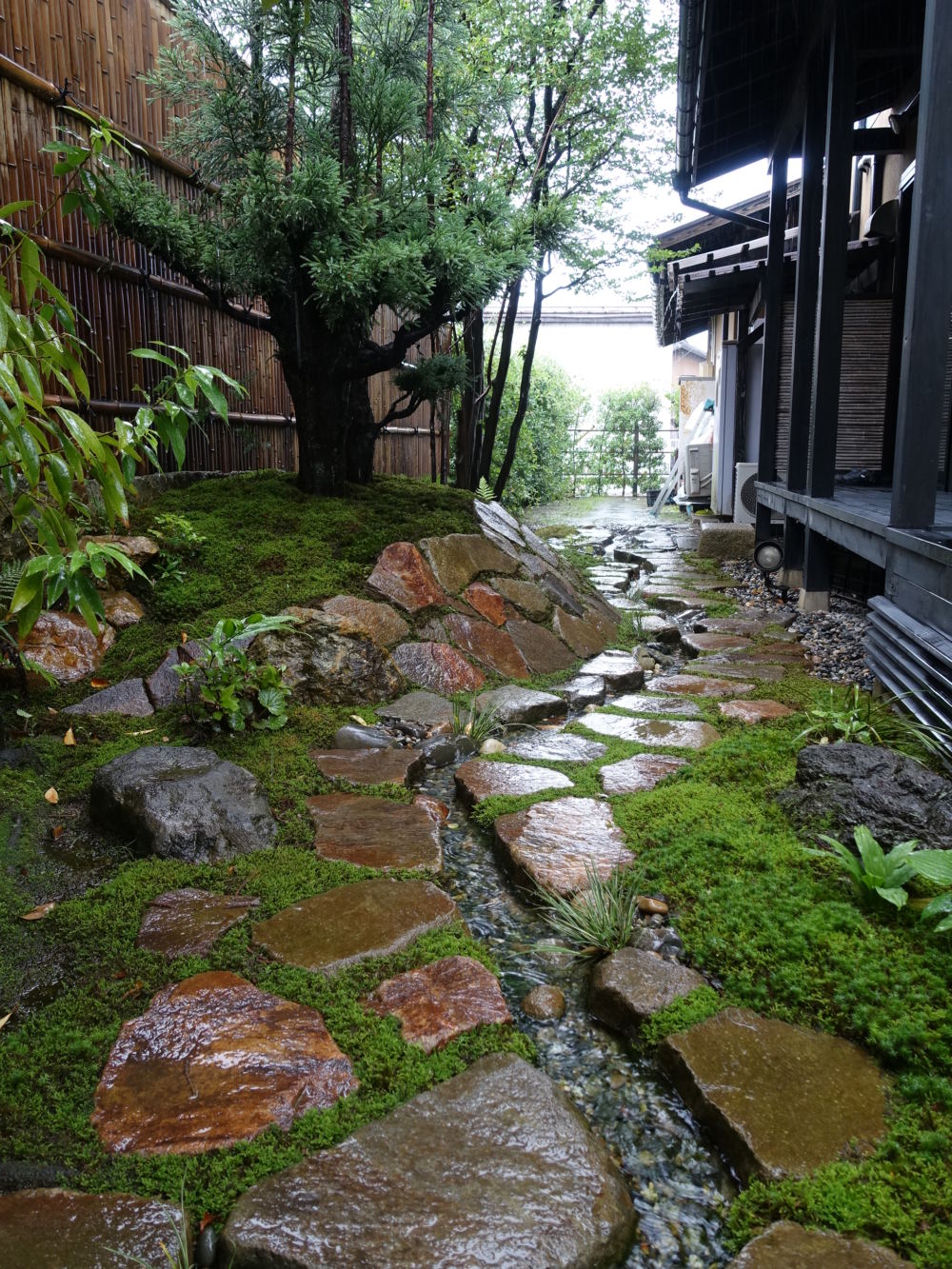台杉と流れのある苔庭 店舗の和風庭園