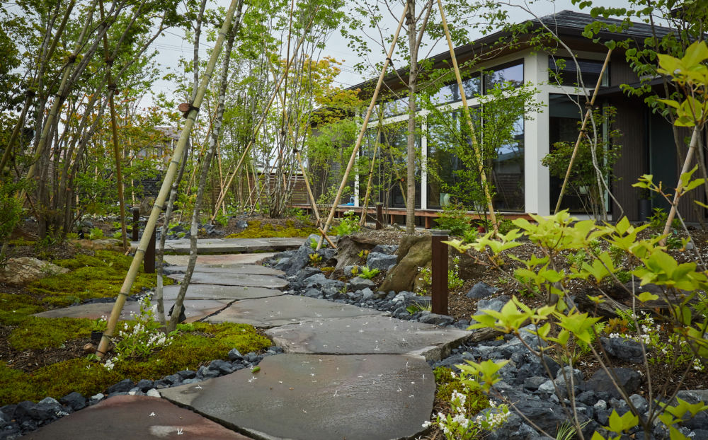 苔や下草が繁茂し馴染むとより野山の風景に近づきます。