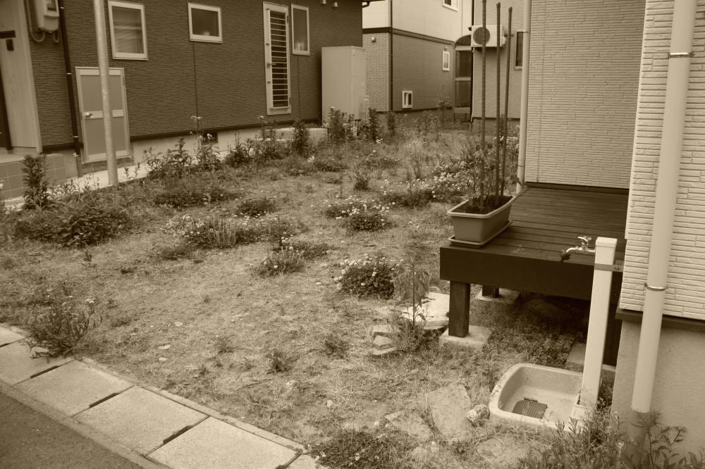広い敷地には雑草が生え、せっかくのデッキもなかなか活かせず、もったいないお庭スペースでした。