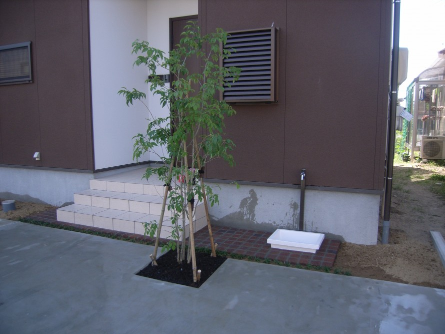 狭小スペースにシンボルツリーのアオダモを植栽