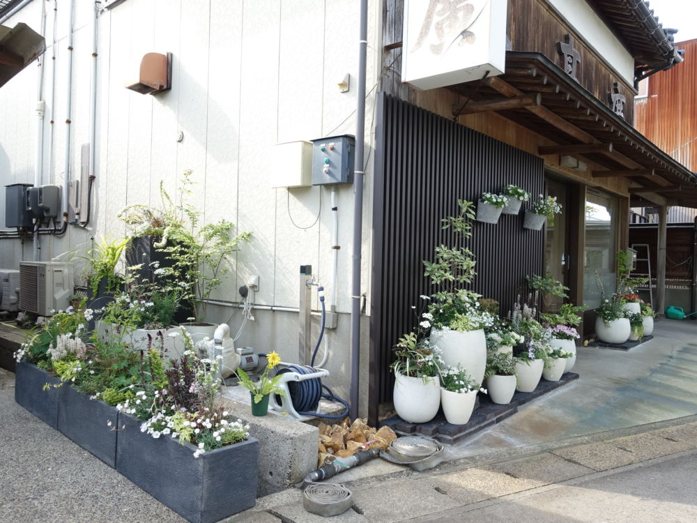 建物脇にある井戸のポンプを寄せ植えで隠しました。鉢のカラーを揃えてスッキリ。
