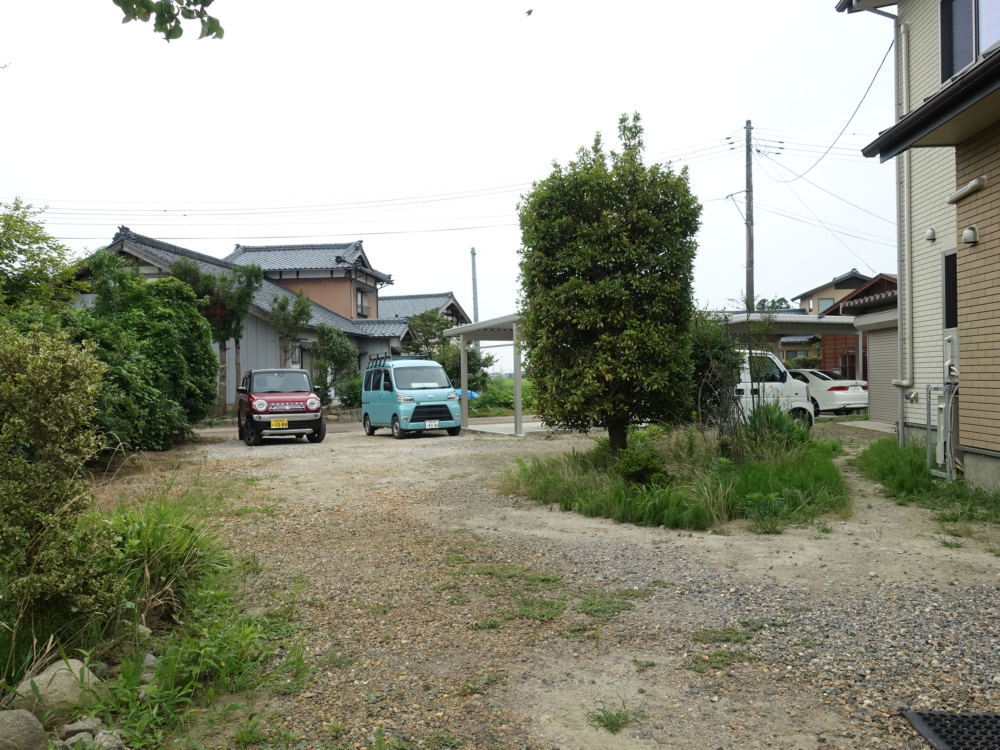 広いけれどメリハリが無く、次々生える雑草も悩みの種