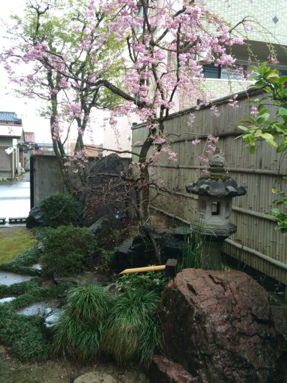 つくばいへの飛び石の園路