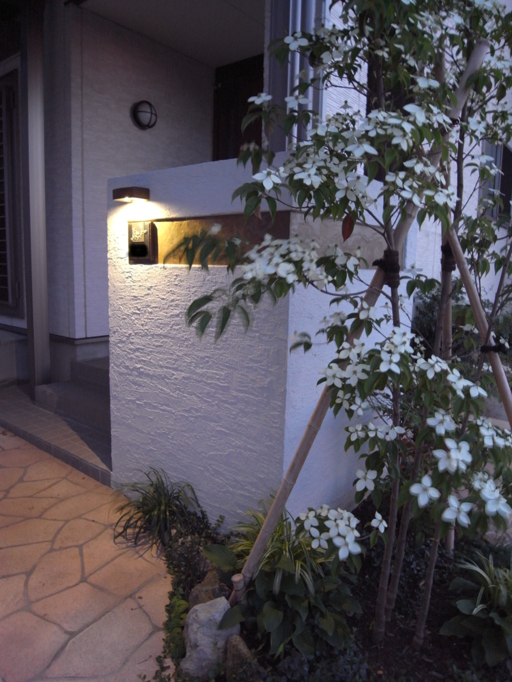 玄関前のライティング ヤマボウシの開花時期(初夏)は涼やかな空間が楽しめます。
