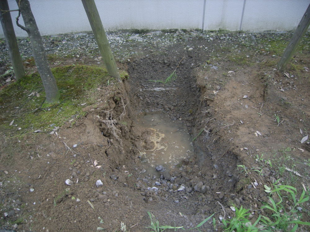 庭木の枝枯れのご相談 お庭の水はけを改善し植木の根腐れを防ぐ お知らせ ガーデンスタジオ雅楽庭 新光園 新潟の庭 ガーデニング 外構 エクステリアデザイン工事