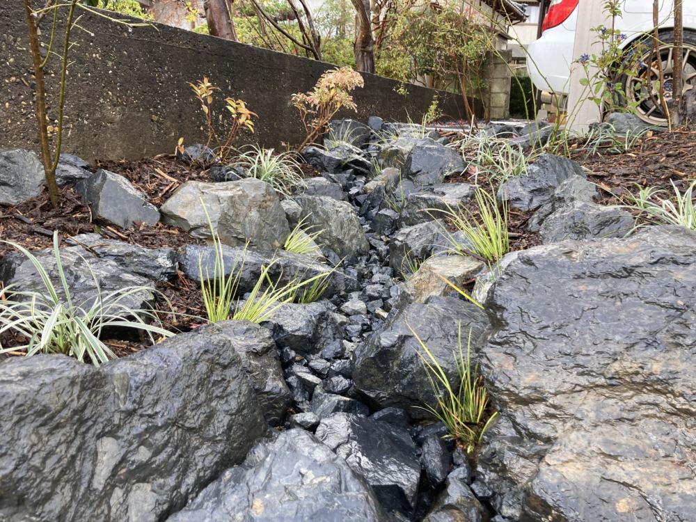 山野と石組の生命力溢れる庭。カーポート側からの雨水が集まる枯れの流れは渓谷のような趣になりました。
葉色の美しさと白花を基調とした清楚な色合いの植栽が石の力強さを引き立てます。
排水対策を兼ねた美しい景色です。
