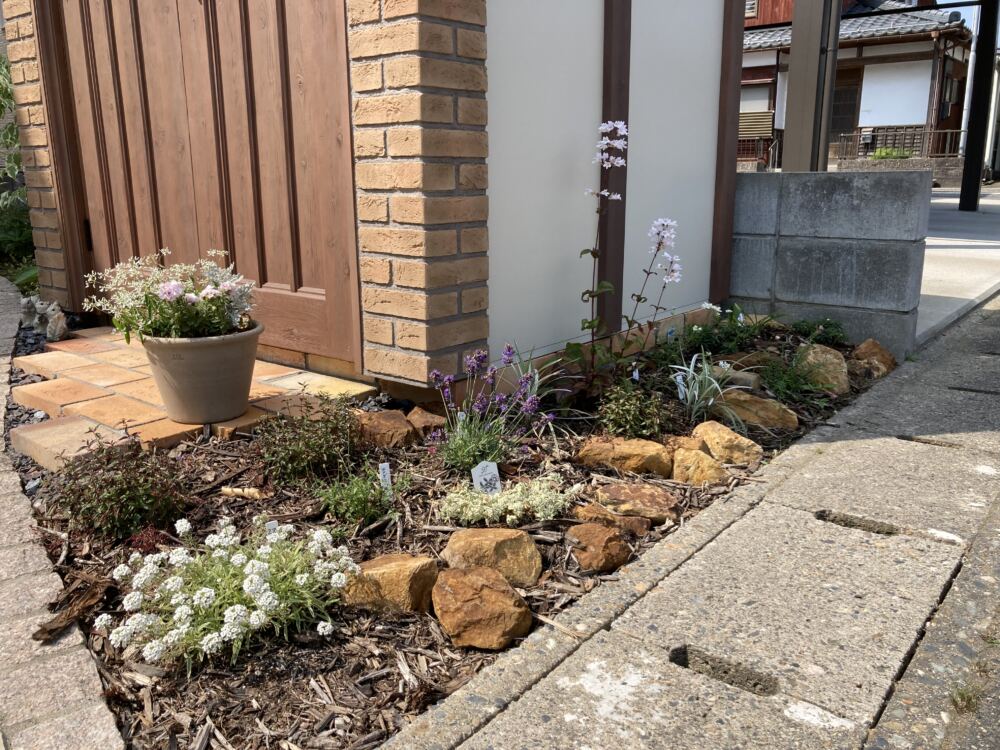 物置まわりはブルー系と白の爽やかな花色の宿根草を中心に植栽しました。
植物との相性はバツグン、絵になる風景です。


