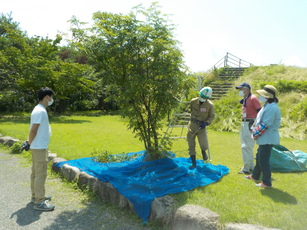 剪定講習会