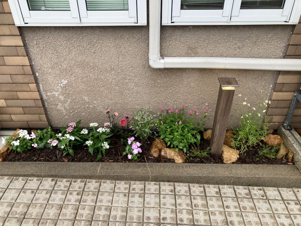 宿根草中心の花壇に、日日草やペンタス、ユーホルビアダイヤモンドフロスト等の一年草で彩りをプラス。
スロープ側の照明は視線が低いことを想定し、グレアに配慮した上面遮光のフットライテイング。
グレアとは不快感のある眩しさのことです。光源との距離や見る人の年齢や体調によって不快さの度合いは異なりますが、心細やかな配慮を感じます。