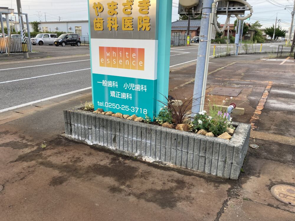 看板周りのロックガーデン