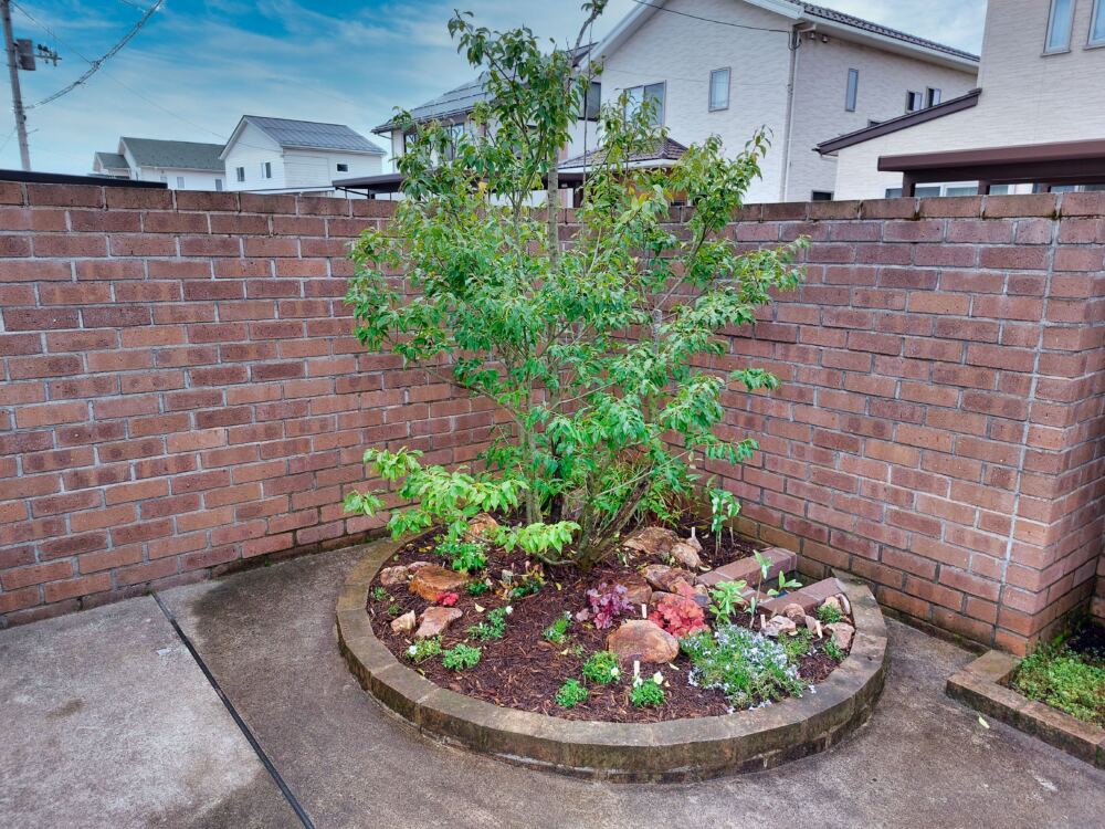 玄関前の円形花壇にも暗渠排水工事を行い、草花を植栽しました。