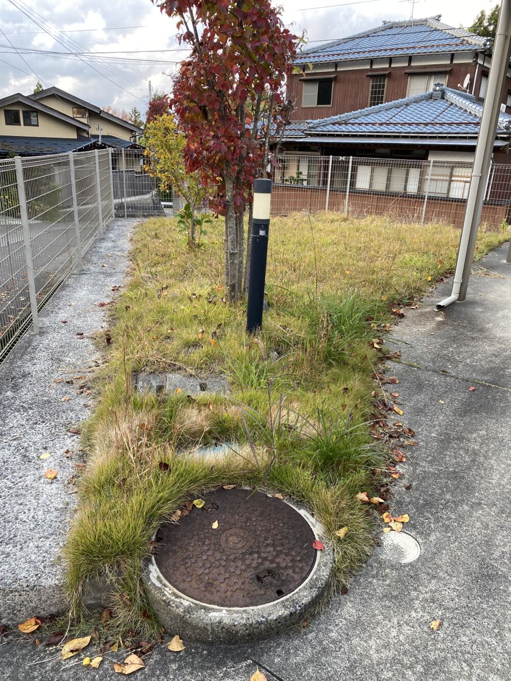 家を新築当時、芝を敷込みましたが雑草に負けてしまい草むしりが大変になってしまいました。