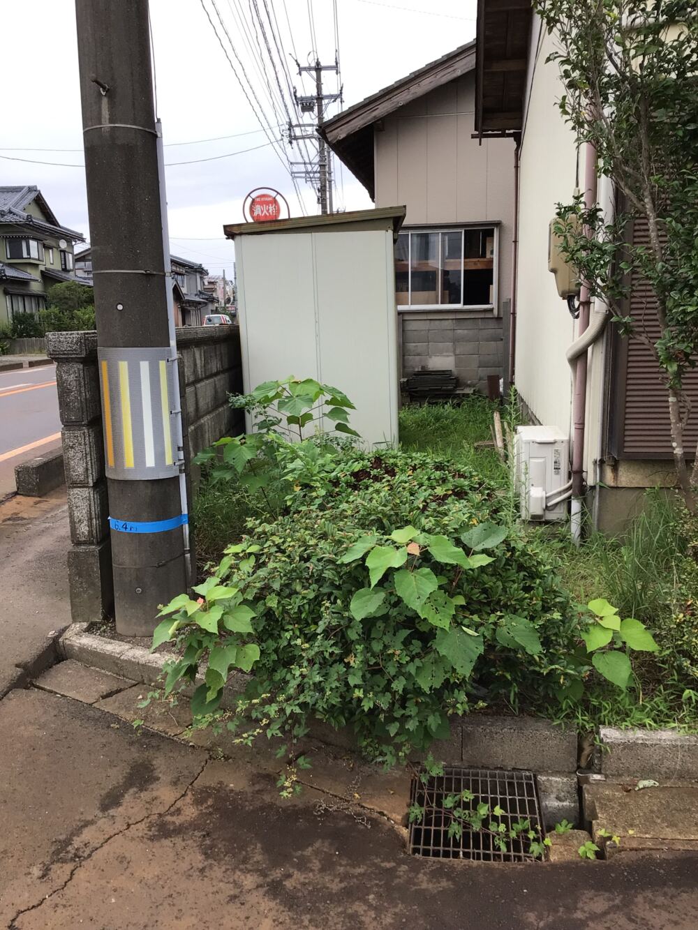 物置周りも雑草が生い茂り、とても使いにくい状況でした。