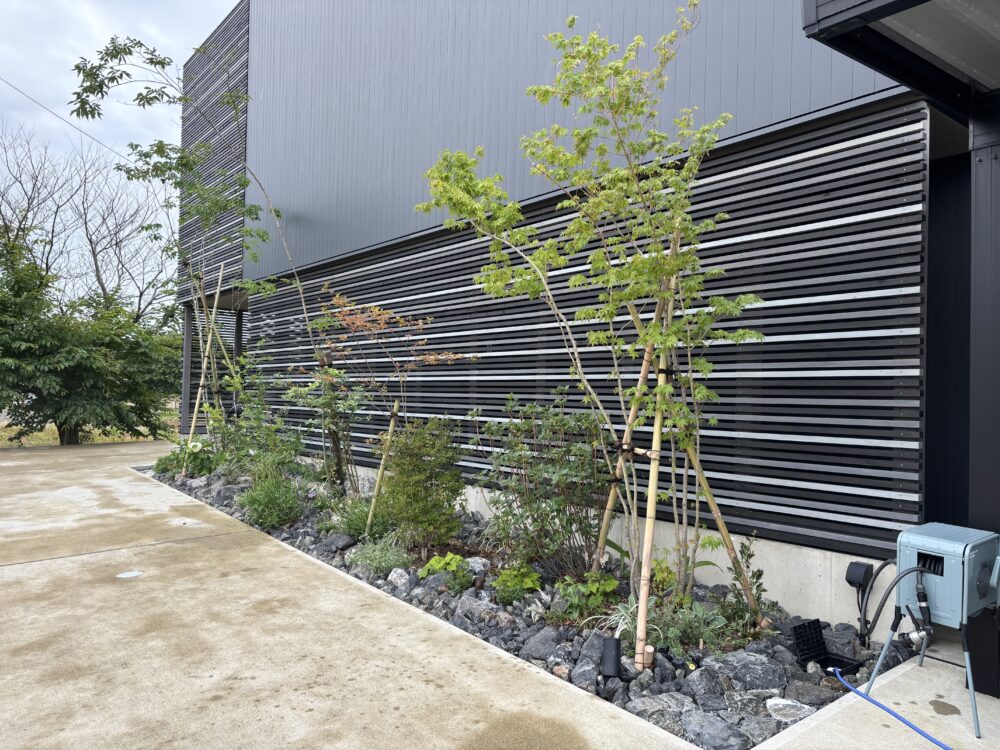 シンプルな外壁に、イロハモミジやアオダモ、ツツジなどの幹が描かれます。
落葉樹メインのため、冬は樹形・幹を楽しめます。