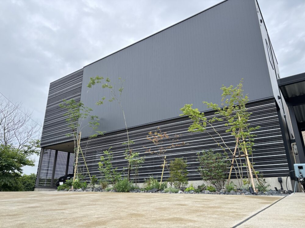 樹形がうつるファサードガーデン