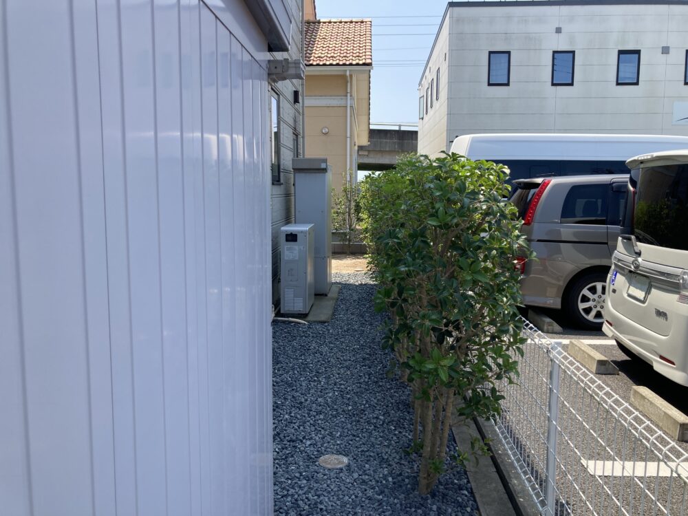 スッキリ剪定し樹形を整えました。