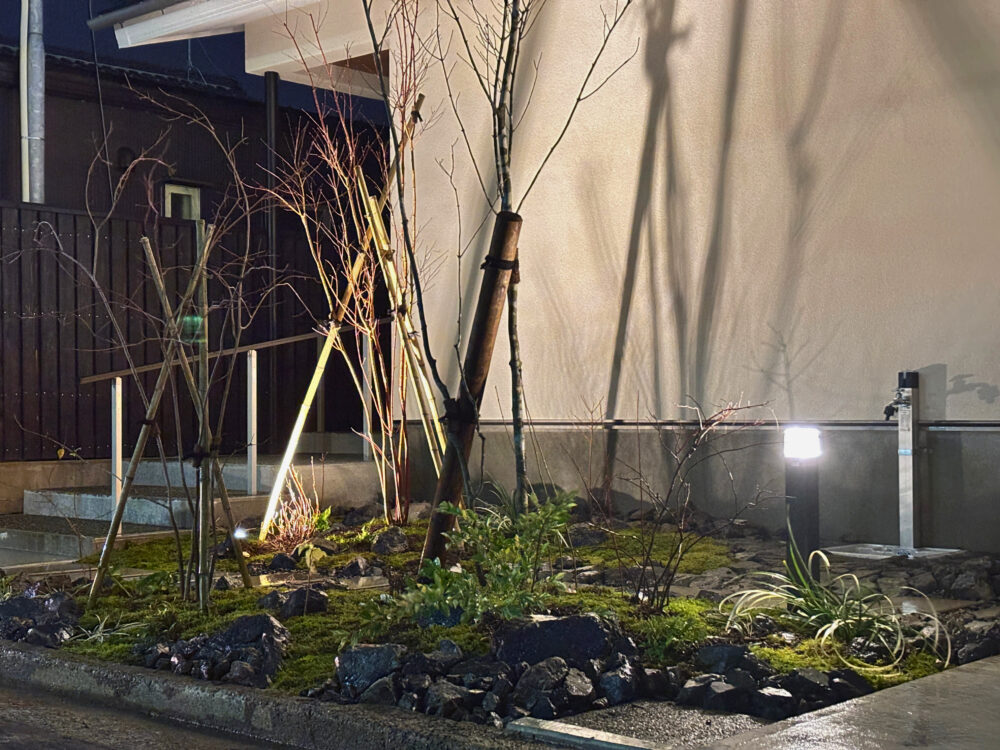 夜のライティング。樹影が外壁に映り込み、幻想的な雰囲気を醸し出します。