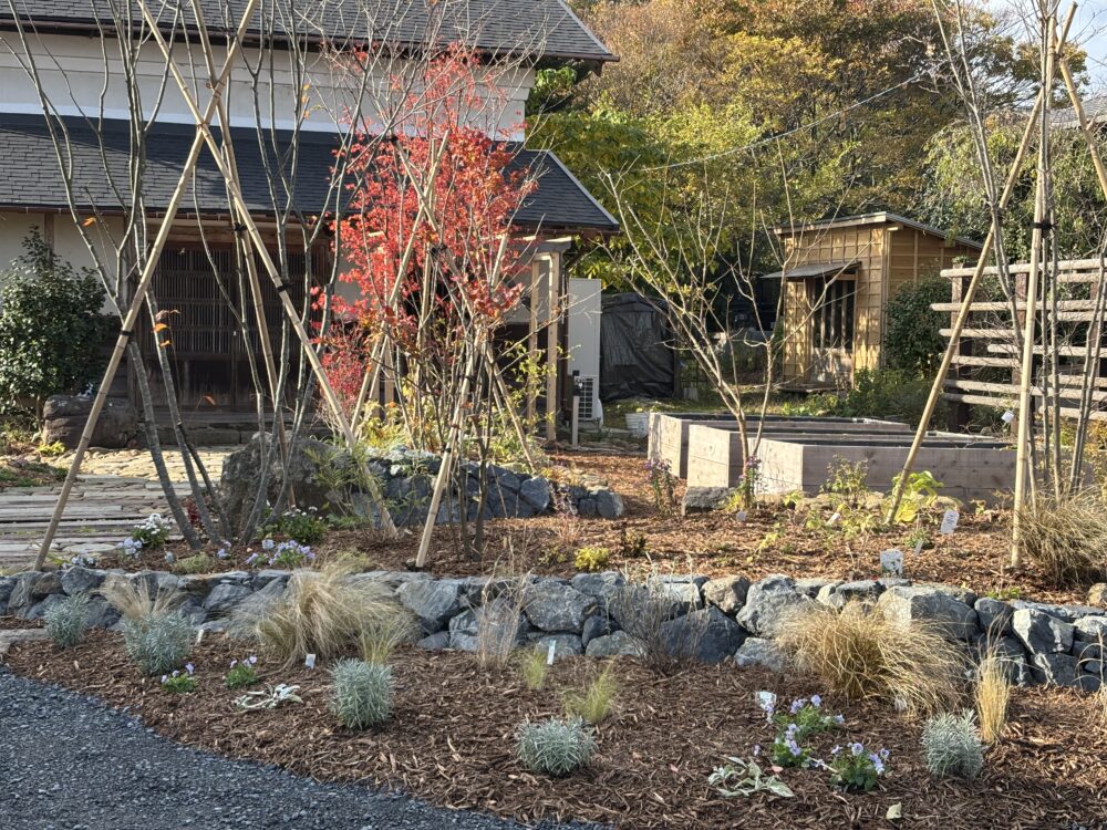 石積みの曲線でより立体的に。
半割のフェンス前には家庭菜園を楽しむレイズドベッド花壇を設置。
レイズドベッド花壇は高さがあるので水はけがよく、風通しも良いので病害虫がつきにくくなります。
また椅子に腰かけても作業ができ、足腰の負担が軽減されます。