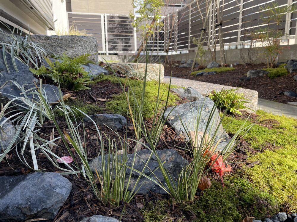 リビングの掃き出し窓から続く沓脱石は御影石のビシャン仕上げ。滑りにくく安心で、素朴で温かみを感じる風合いが魅力です。