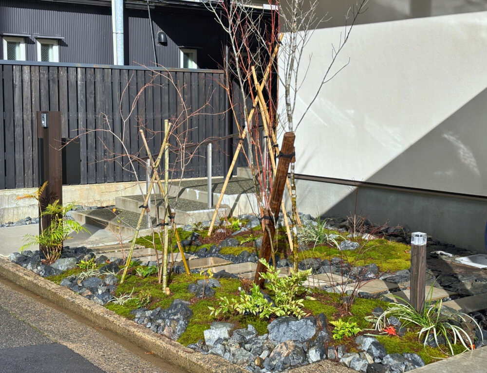 木々の足元には石を据え、苔を貼り、日陰に強いヤブランや、縁起の良いマホニア・コンフューサ、コバノズイナ、アナベルなどを植栽。花色は白を基調にした上品な色合いで、春の開花から夏の緑、秋の紅葉など、季節ごとの表情を穏やかに楽しめる庭です。