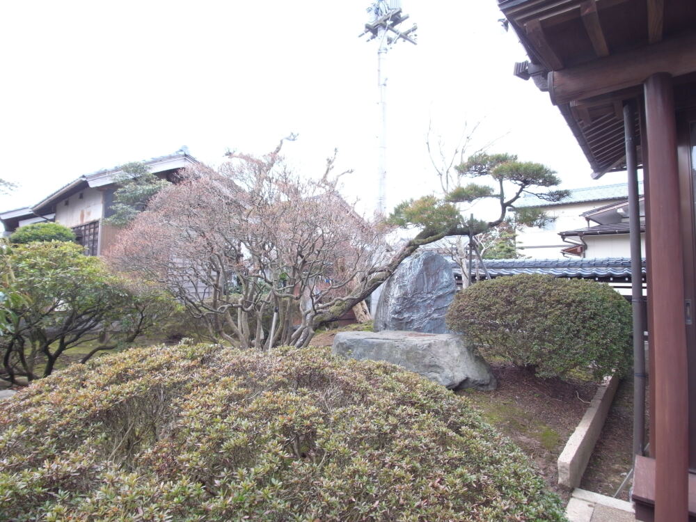 長年育ってきた庭木や景石が点在する、緑豊かな和風庭園